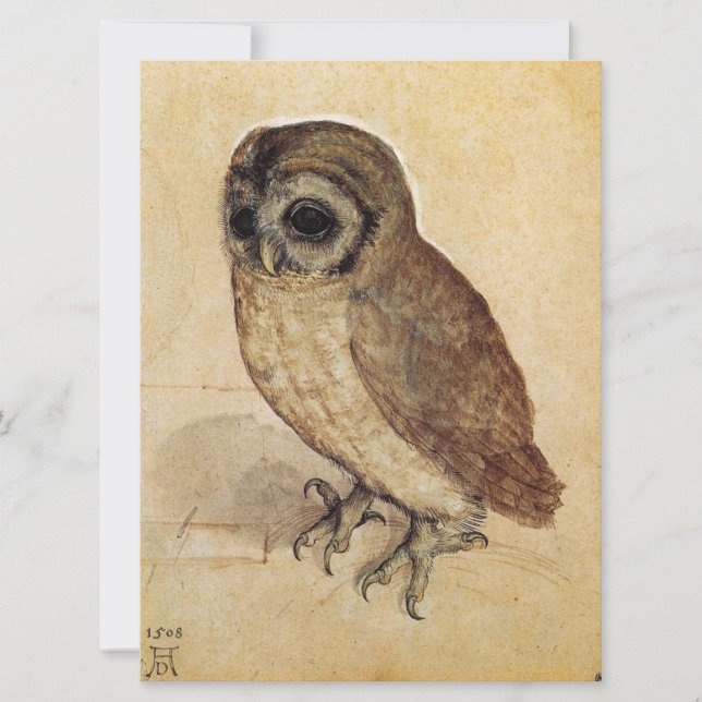 The Little Owl (von Albrecht Durer) Karte (Vorderseite)