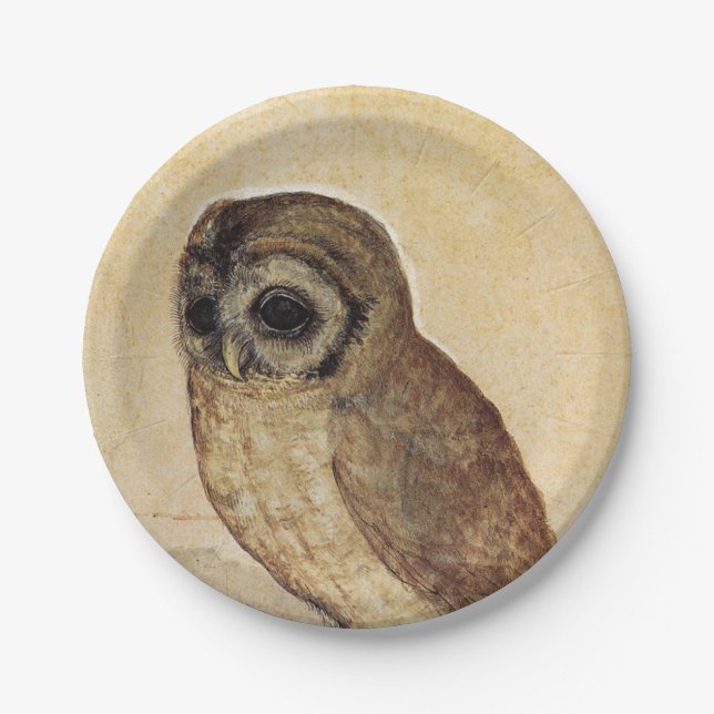 The Little Owl (von Albrecht Durer) Pappteller (Vorderseite)