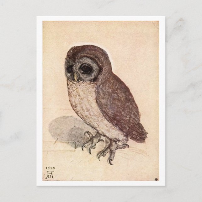 "The Little Owl" von Albrecht Dürer Postkarte (Vorderseite)
