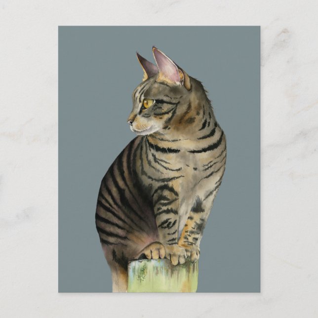 "The Lookout" Tabby Cat on Wood Post Illustration Postkarte (Vorderseite)