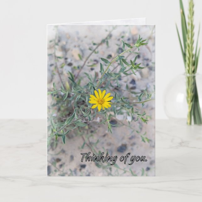 “The Lord Watches Over You”  Karte (Vorderseite)