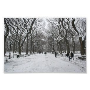 The Mall, Central Park NY -> Die Mall, Central Par Fotodruck