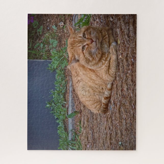 The Master of the Sunny Path (Vertikal)