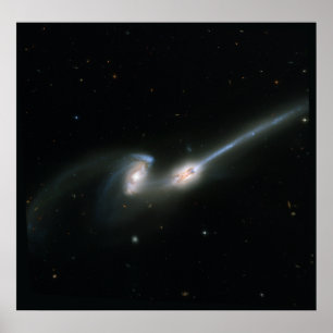 The Mäuse (NGC 4676)- Colliding Galaxies Poster