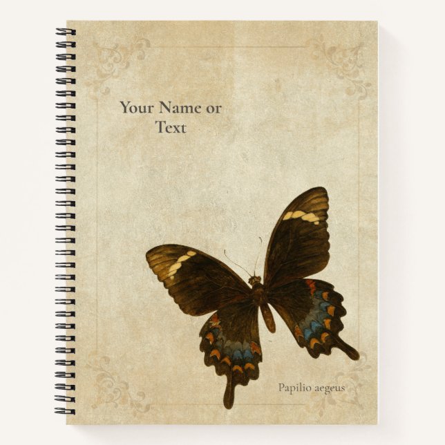 The Monarch of the Mandarins: Orchard Swallowtail  Notizbuch (Vorderseite)