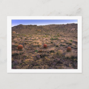 " The Morning Trifecta " Postkarte