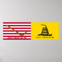 The Navy Jack & Gadsden Flags - Circa 1775-76