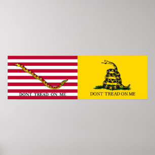 The Navy Jack & Gadsden Flags - Circa 1775-76 Poster