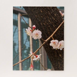 The Noble Call of Korean Spring