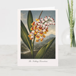 The Nodding Renealmia — Modern Botanical Reinterpr Karte