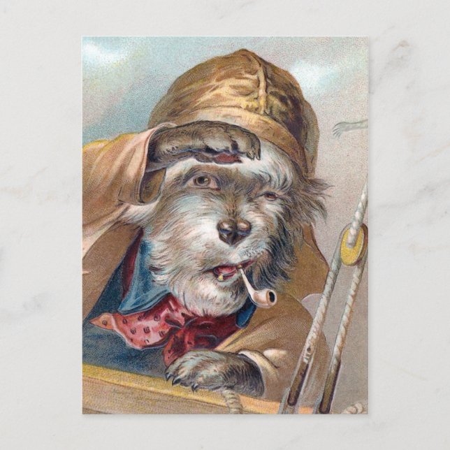"The Old Sea Dog" Vintage Postkarte (Vorderseite)