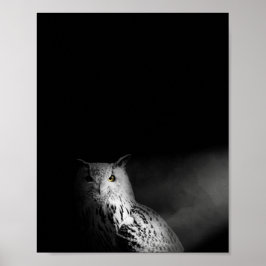 The Owl, black and white, photograph Poster