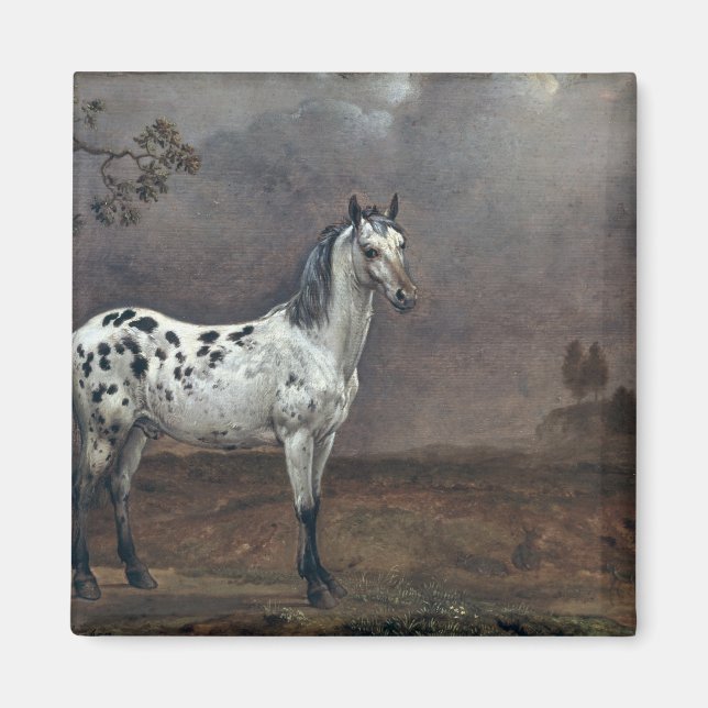The Piebald Horse, 1653 Magnet (Vorne)