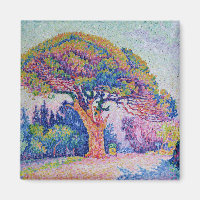 The Pine Tree at St. Tropez, 1909