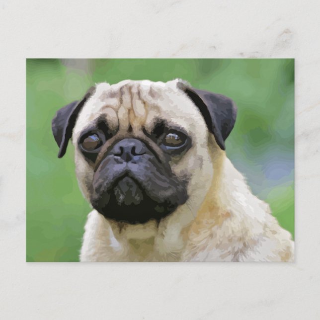 The Pug Dog Postkarte (Vorderseite)