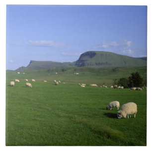 The Quiraing Mountains, Isle of Skye, Highlands, Fliese