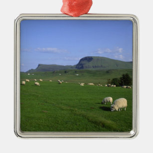 The Quiraing Mountains, Isle of Skye, Highlands, Silbernes Ornament