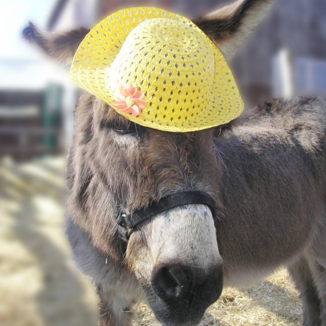 "The Real Easter Bunny" Ferienkarte Feiertagskarte (Von Creator hochgeladen)