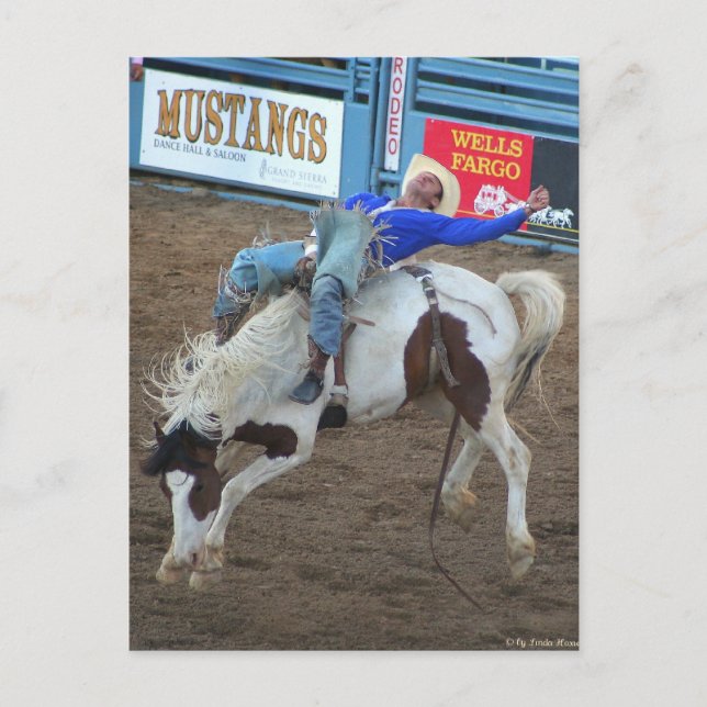 The Rodeo Collection - Wilder Rad Postkarte (Vorderseite)