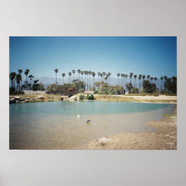 The Santa Barbara coast Poster