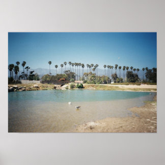 The Santa Barbara coast Poster