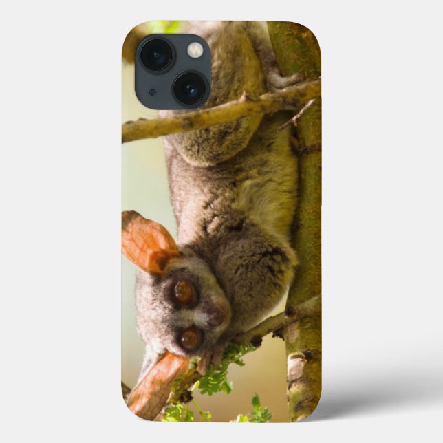 The Senegal Bushbaby Case-Mate iPhone Hülle (Rückseite)