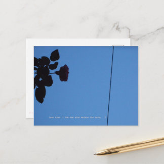The shadow of a rose emerging darkly. postkarte