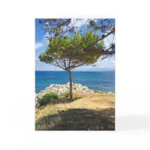 The Sicilian Tree