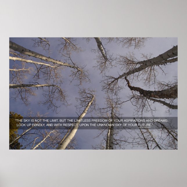 The sky is not the limit... poster (Vorne)