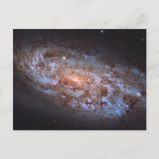 The Stellar Forge Postkarte (Vorderseite)