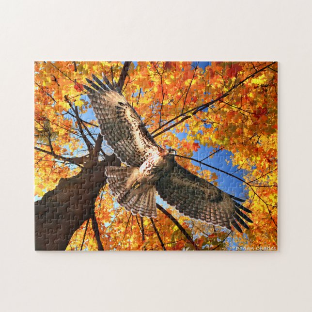 "The Sunday Hawk"-Puzzle (Horizontal)