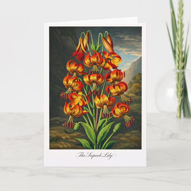 The Superb Lily — Modern Botanical Reinterpretatio Karte (Vorderseite)