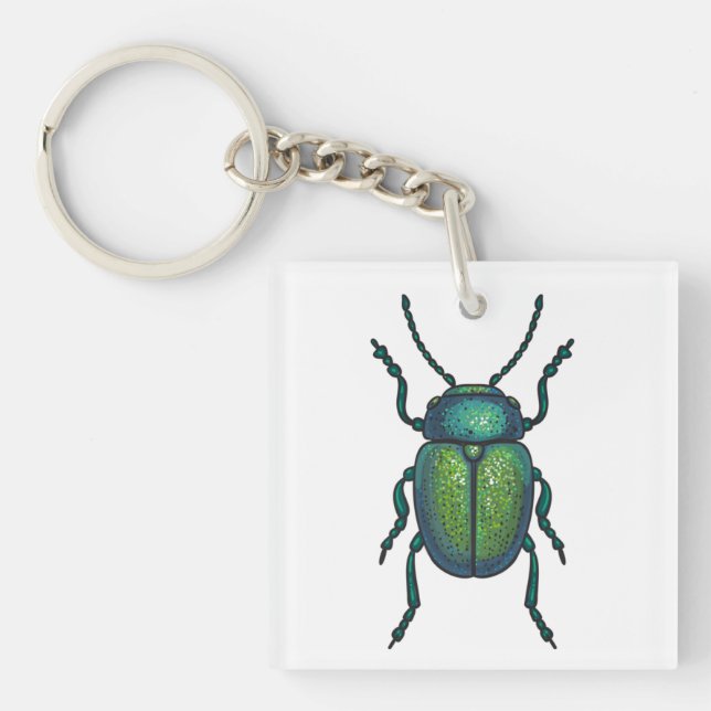The tansy beetle (Devant)