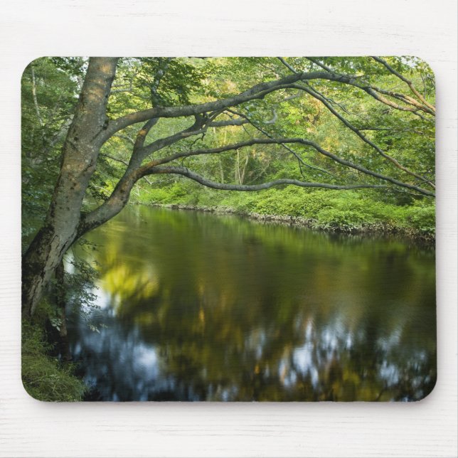 The Taunton River in Bridgewater, 2 Mousepad (Vorne)