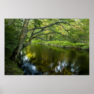 The Taunton River in Bridgewater, Poster