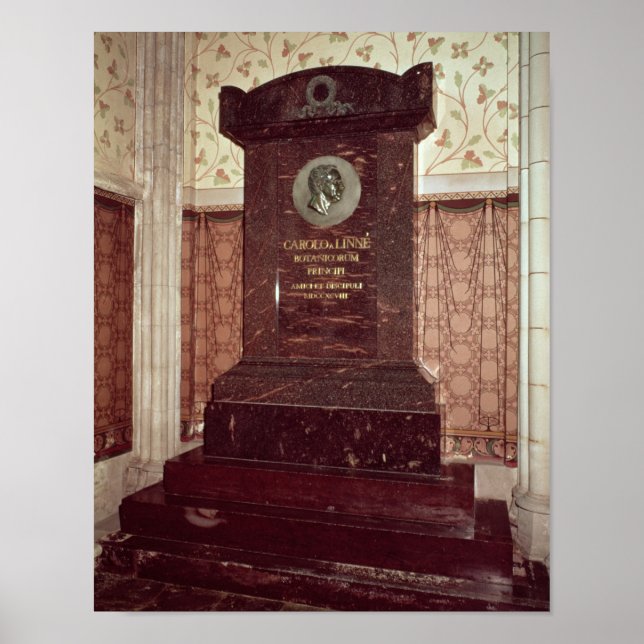 The tomb of Carl Linnaeus Poster (Vorne)