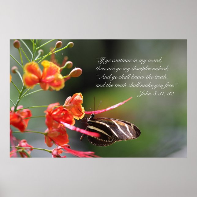 The Truth Shall Set you Free Poster, Version C Poster (Vorne)