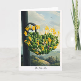 The Tube Aloe — Modern Botanical Reinterpretation Karte
