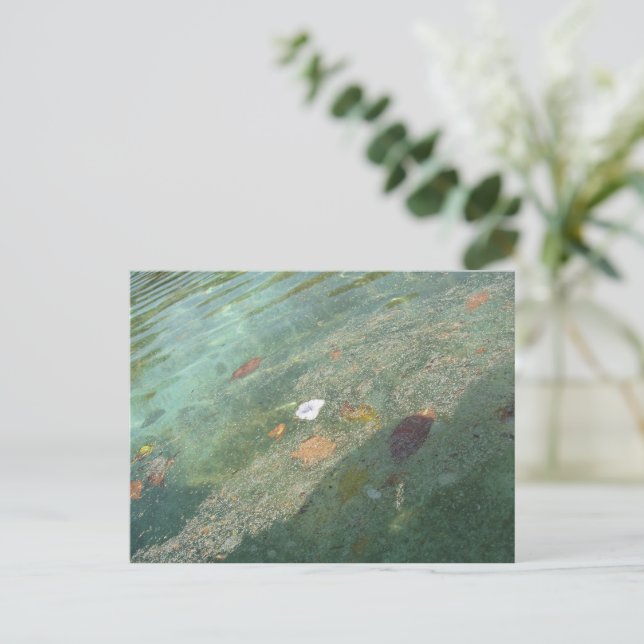 The water's surface in October Postkarte (Stehend Vorderseite)