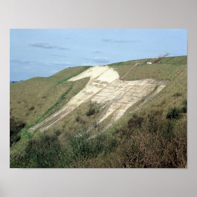 The Westbury White Horse Poster (Vorne)