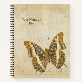 The White-Barred Emperor (Charaxes Brutus) Notizbuch