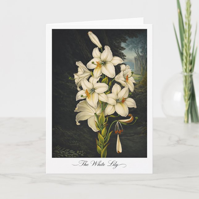 The White Lily — Modern Botanical Reinterpretation Karte (Vorderseite)