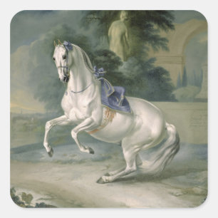 The White Stallion 'Leal' en levade, 1721 Quadratischer Aufkleber