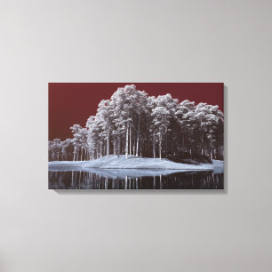 The White Woods Canvas Print Leinwanddruck