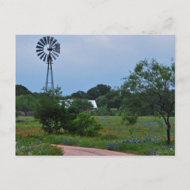 The Windmill in the Wildflowers Postkarte (Vorderseite)