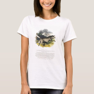The Wolf (Canis lupus) educational illustration pu T-Shirt
