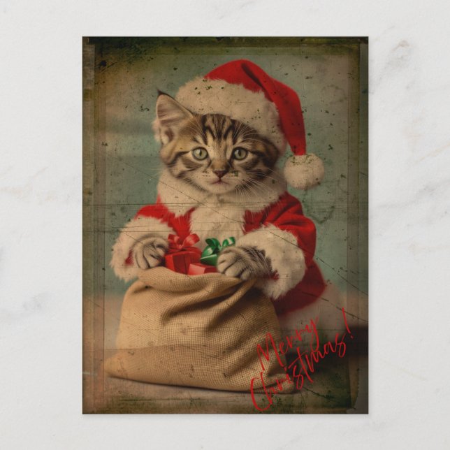 The 'Yuletide Yawn' Dashing Kitten Christmas Postkarte (Vorderseite)