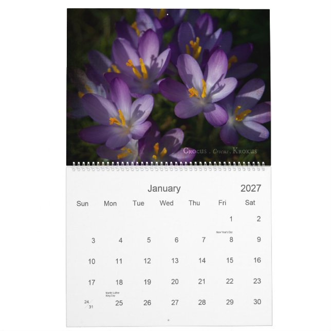 Theatrum Botanicum 2010 Kalender (Jan 2027)