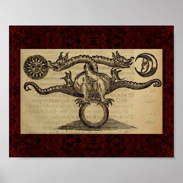 Theatrum Chemicum: Alchemy Illustration 1652 Poster (Vorne)