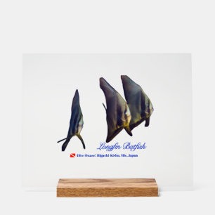 Thee Cute Longfin Batfish Getränkuntersetzer Acrylschild